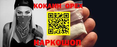 шишки Кимры
