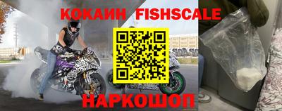 шишки Кимры