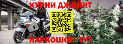 стаф Кинель