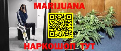 шишки Кимры