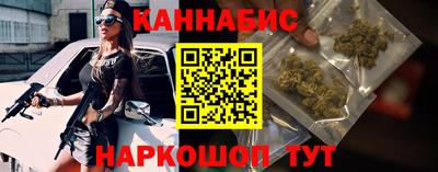 шишки Кимры