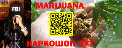 шишки Кимры