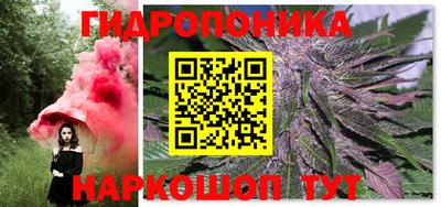 стаф Кинель