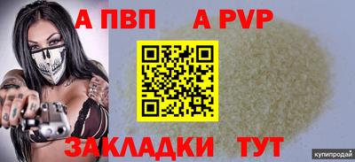 шишки Кимры