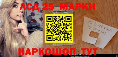 шишки Кимры