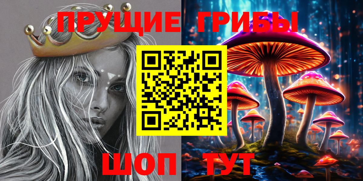 Электрогорск  Галлюциногенные грибы мицелий  Псилоцибиновые грибы прущие грибы  Вход с VPN 