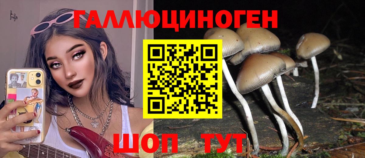 Псилоцибиновые грибы Cubensis Электрогорск